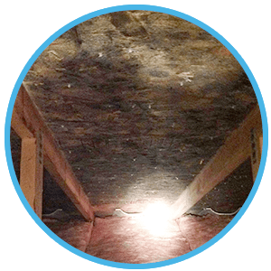 Mold Removal Providence RI